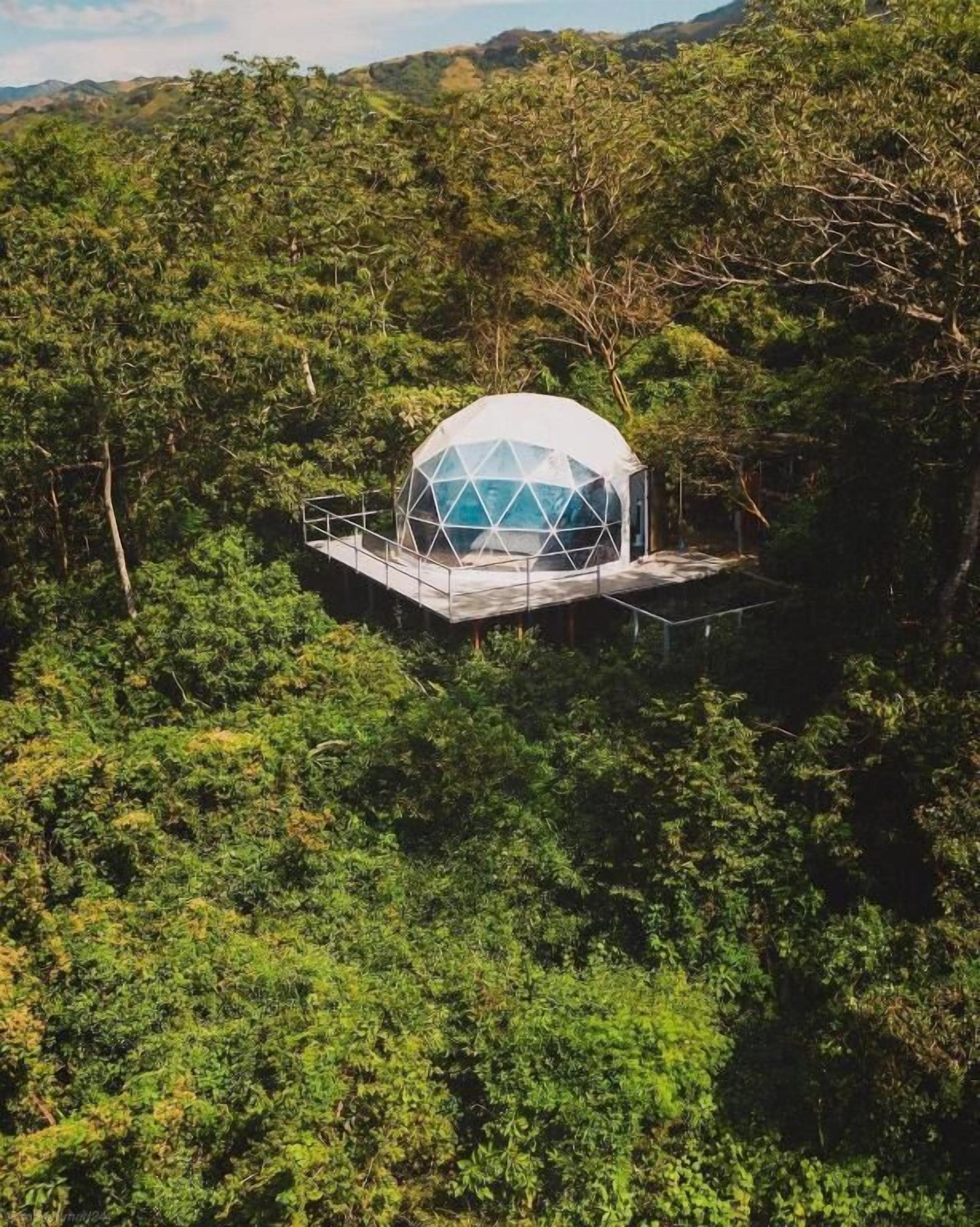 A dome-shaped structure elevated on stilts amidst dense forest.