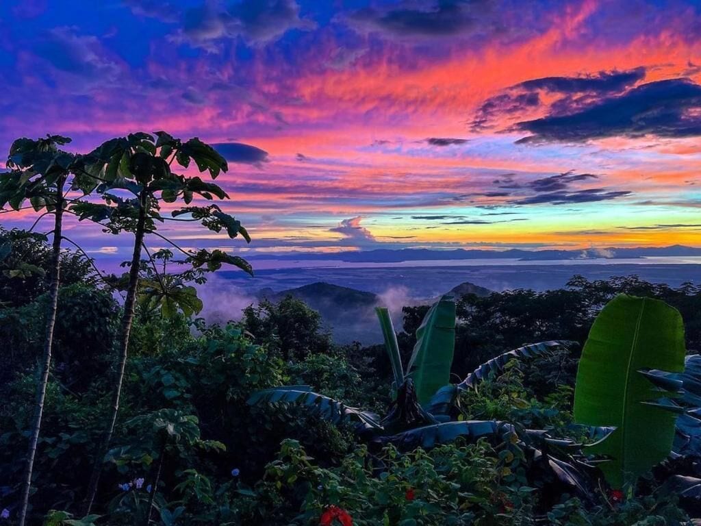 A tropical landscape with dense vegetation and a view of distant mountains.