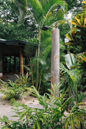 Property grounds - Simsalabim Jungleow slow down in the middle of the jungle (Cobano, Puntarenas,)