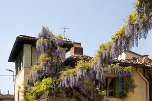 Exterior - B&B Le Cannelle Fiesole (Fiesole)