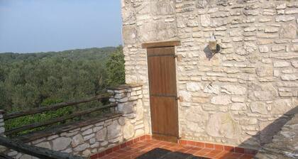 Villa de charme au cĆur du maquis