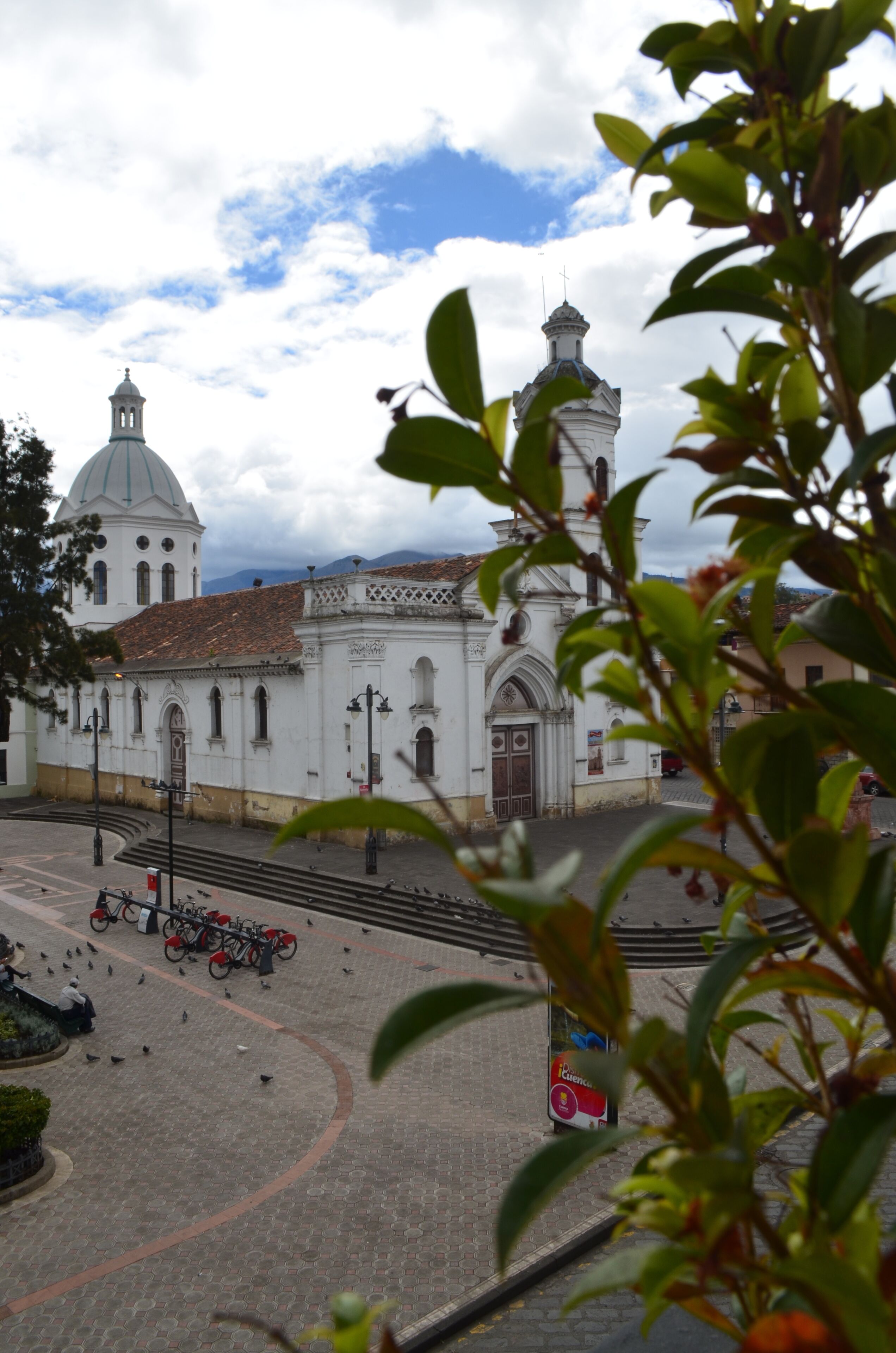Foto - Hotel Azul de la Plaza by Chat Noir