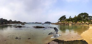 Playa en los alrededores 