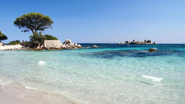 A beach with clear turquoise water, a stone wall, and a large tree. - Modern villa with private pool between Bonifacio and Porto-vecchio (Figari)