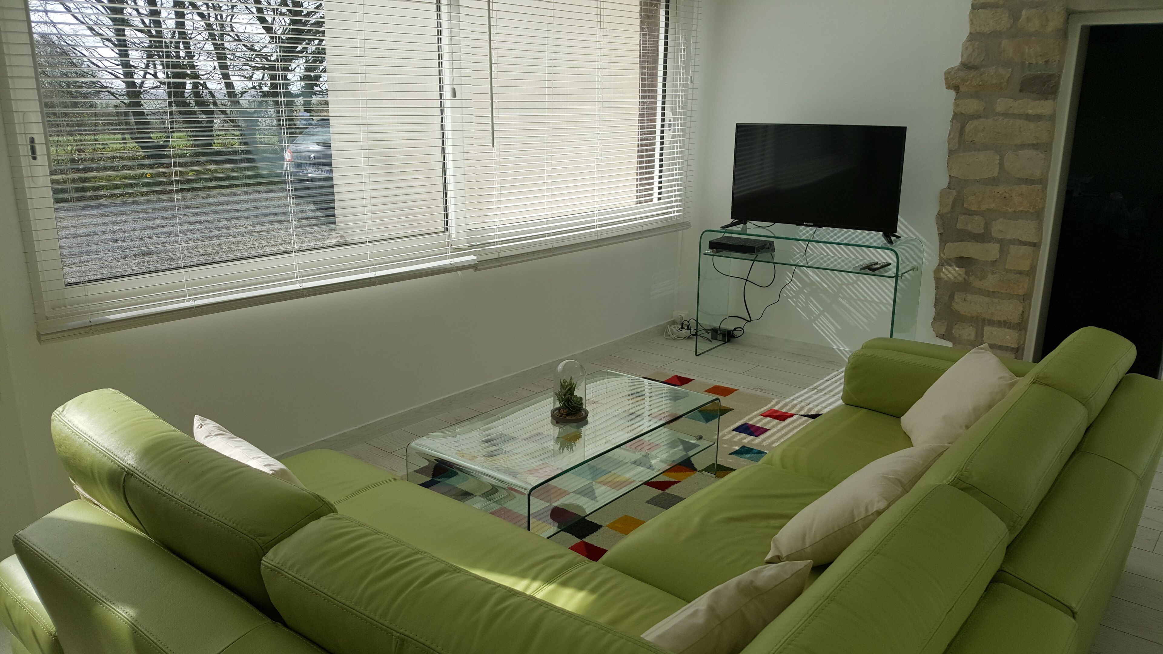 A living room with a green sofa, a glass coffee table, and a TV on a stand.