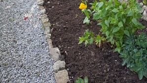 En have med grussti, kantet af sten, og forskellige planter, heriblandt en gul blomst.