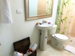 Deluxe House, Multiple Beds (27 pax) | Bathroom