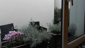 Quarto com um espelho grande refletindo uma planta em vaso e uma cadeira.