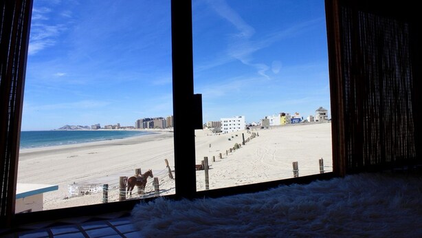 Une vue sur la plage, prise de l’intérieur d’un bâtiment doté de grandes fenêtres, avec une plage de sable et un cheval au premier plan.