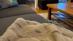 Una sala de estar con un sofá gris, una mesa de centro de madera y una manta color beige.