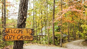 Ein hölzernes Wegweiser mit der Aufschrift 'WELCOME TO COZY CABANA' inmitten eines Waldes.