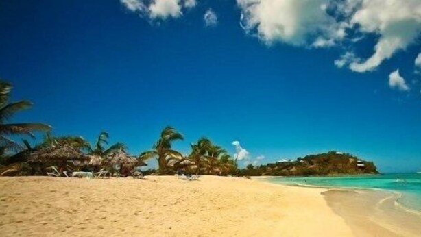 Een strand met helder turquoise water, palmbomen en een structuur met rieten dak.