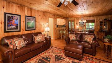 Télévision, cheminée, lecteur de DVD, livres