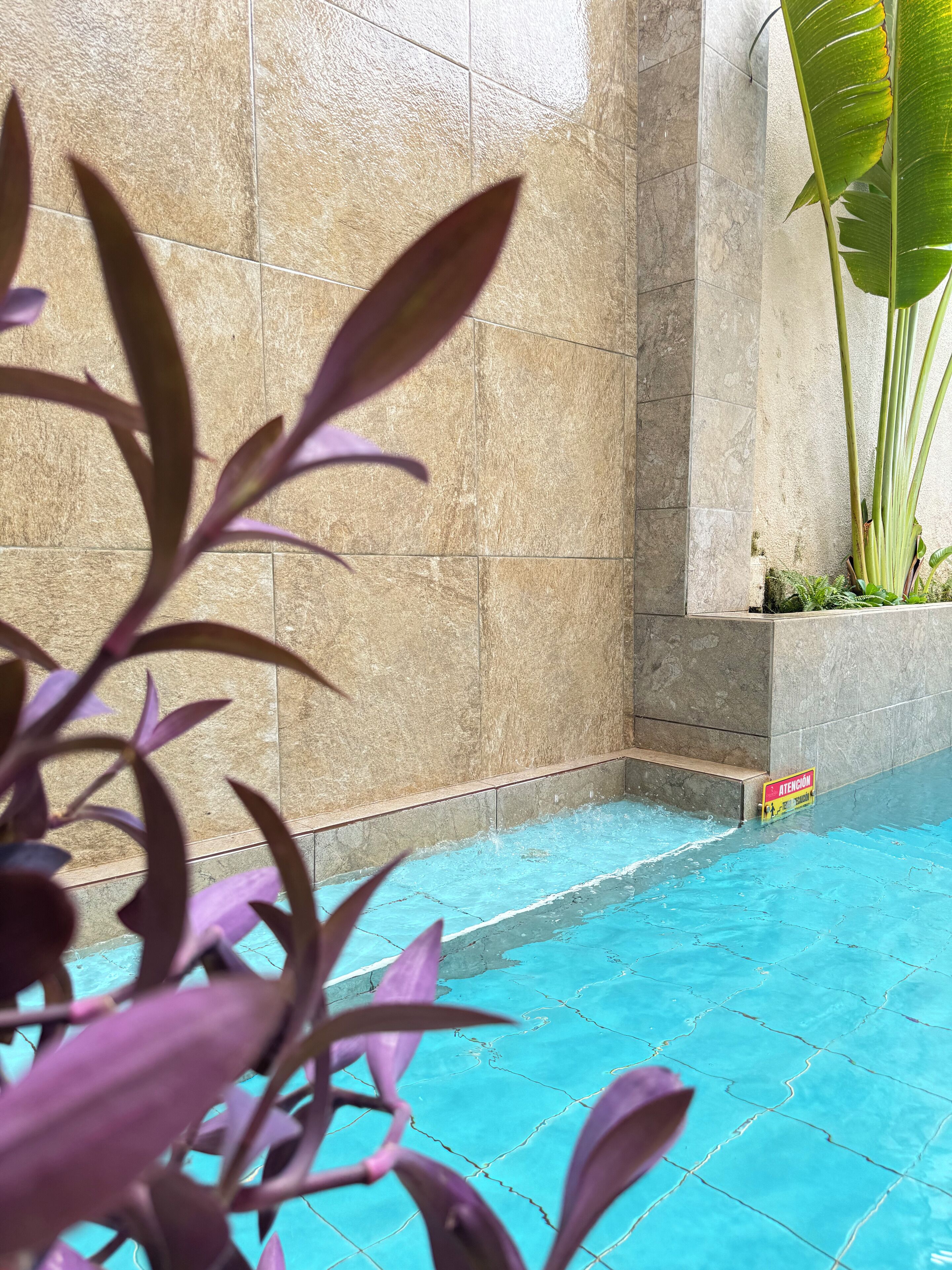 Foto - Casa Roman Hotel Boutique