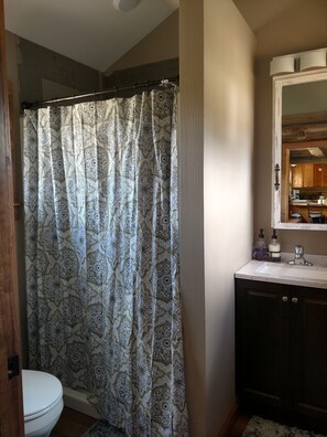 A bathroom with a patterned shower curtain, a white toilet, a wooden cabinet with a mirror, and a small rug on the floor. - Near glacier park. Perfect setting for outdoor enthusiasts. Family friendly. (Dupuyer)