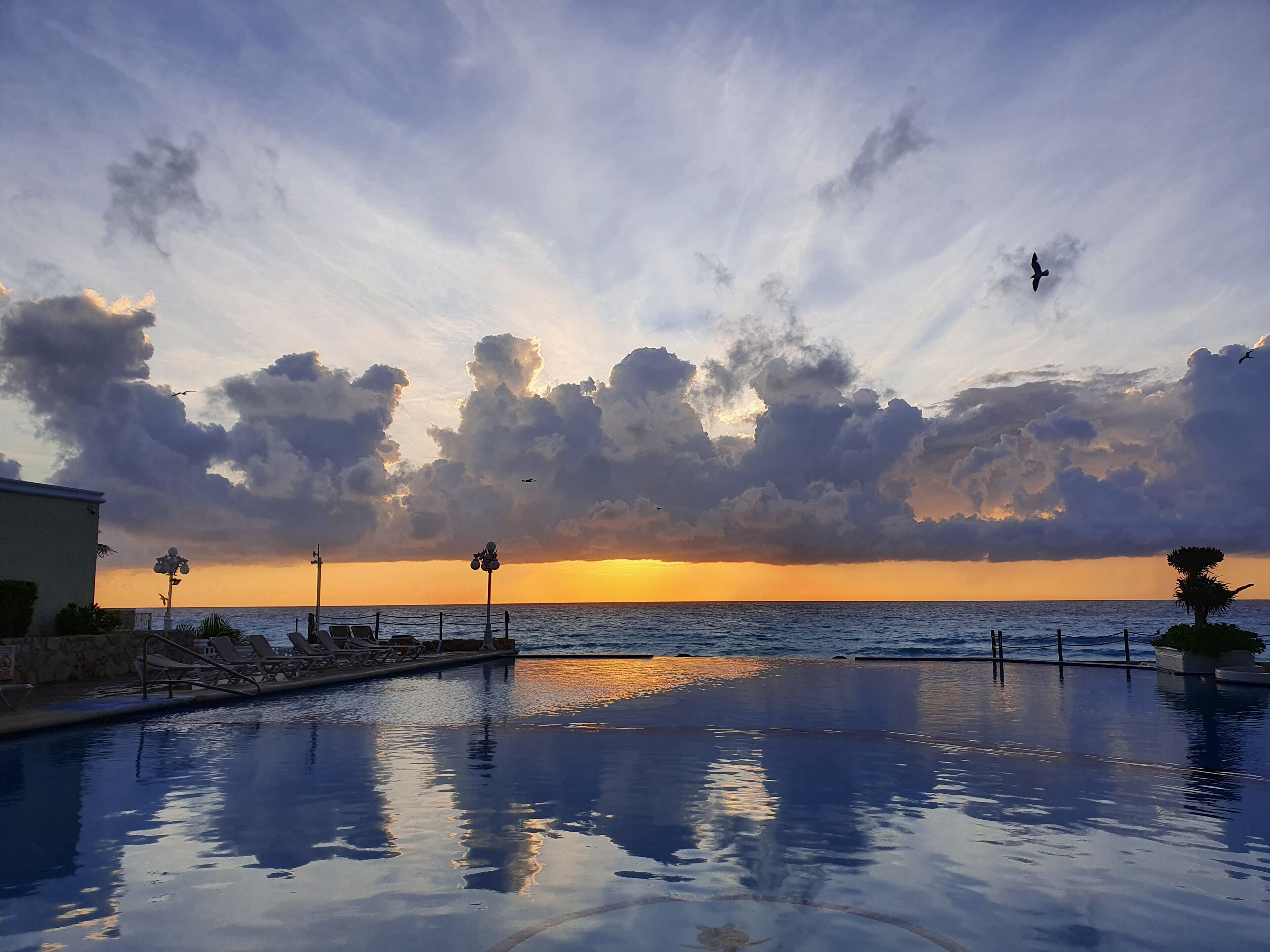 Una piscina con vistas a la puesta de sol sobre el océano, sillas de descanso y una palmera.