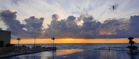 Una piscina con vistas a la puesta de sol sobre el océano, sillas de descanso y una palmera.