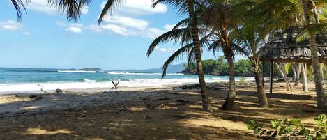 Chaises longues, serviettes de plage