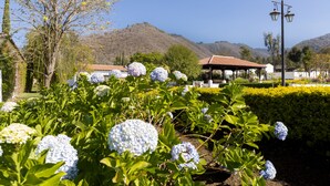 Un jardín con flores de hortensia, un pabellón y montañas al fondo.