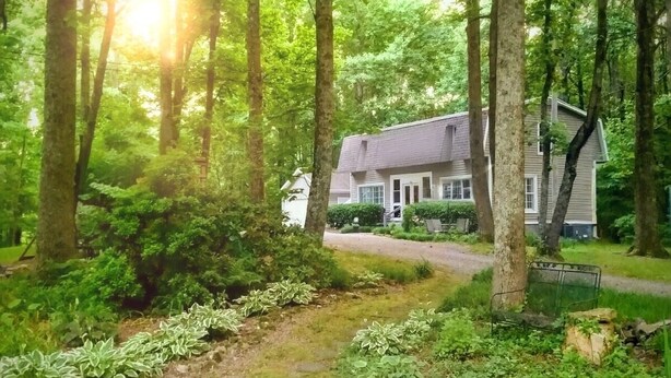 A house surrounded by a forested area with a pathway leading to the entrance. - Cozy Cottage Wooded Retreat (Hendersonville)