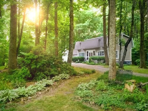 Cozy Cottage Wooded Retreat