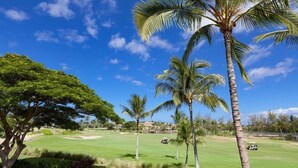 A golf course with palm trees, a large tree, and a clear blue sky. - Hilton Pool Pass for stays 2026. Golf Discounts. Waikoloa Beach Villas L22 (Waikoloa Beach Resort)