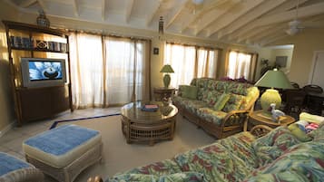 Smart TV, DVD player, books, music library