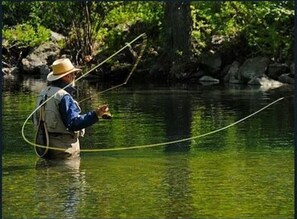 Guests can enjoy a serene fishing experience in our tranquil surroundings.