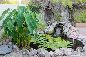 Un petit étang avec des nénuphars, une cascade et une décoration représentant un flamant rose.