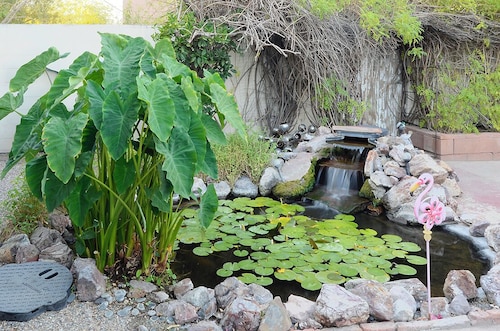 Home+Breakfast Food+Hot Tub+KOI Pond+gr8 4 BIG Groups