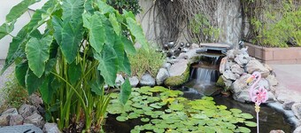 PERFECTE PLAATS VOOR GROTE VERZAMELINGEN<br>IN ONZE AZ ARTIST SECRET GARDEN