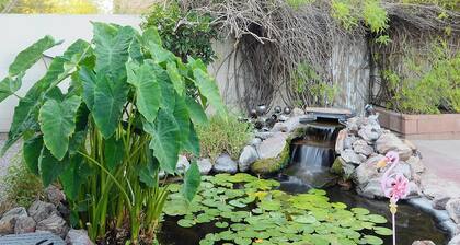 Home+Breakfast Food+Hot Tub+KOI Pond+gr8 4 BIG Groups