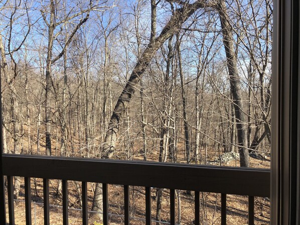 A view through a window with a wooden railing, looking out at a forested area with bare trees.