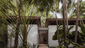 Un edificio moderno con una porta in legno, circondato da piante tropicali e un vialetto sterrato.