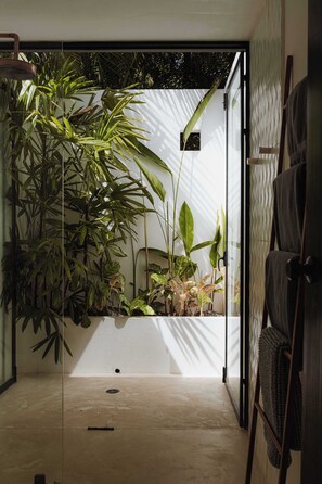 A room with a glass partition, a concrete floor, and a variety of indoor plants.