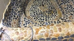 Una bañera con diseño de mosaico.