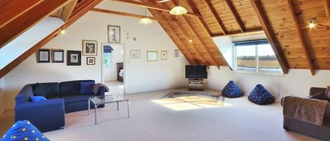 TV, fireplace, DVD player, table tennis