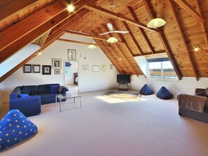 TV, fireplace, DVD player, ping pong