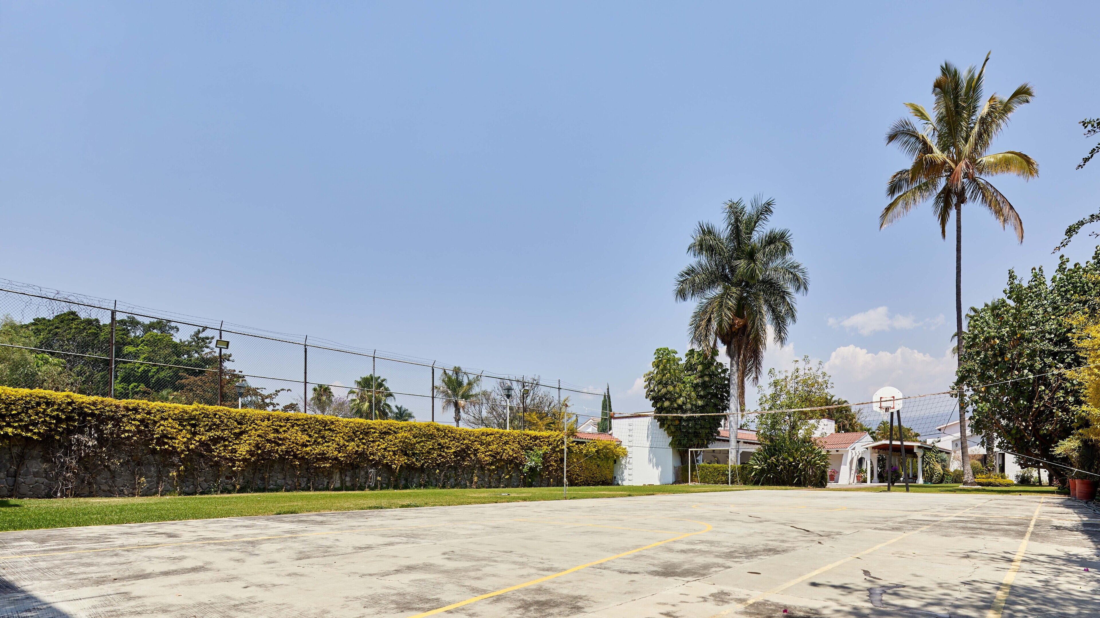 A basketball court with a fence, palm trees, and a building in the background.