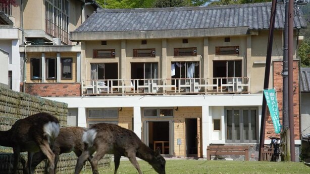 A building with a balcony and a grassy area in front. - Mountain Home Lodge in Deer Park (Nara)