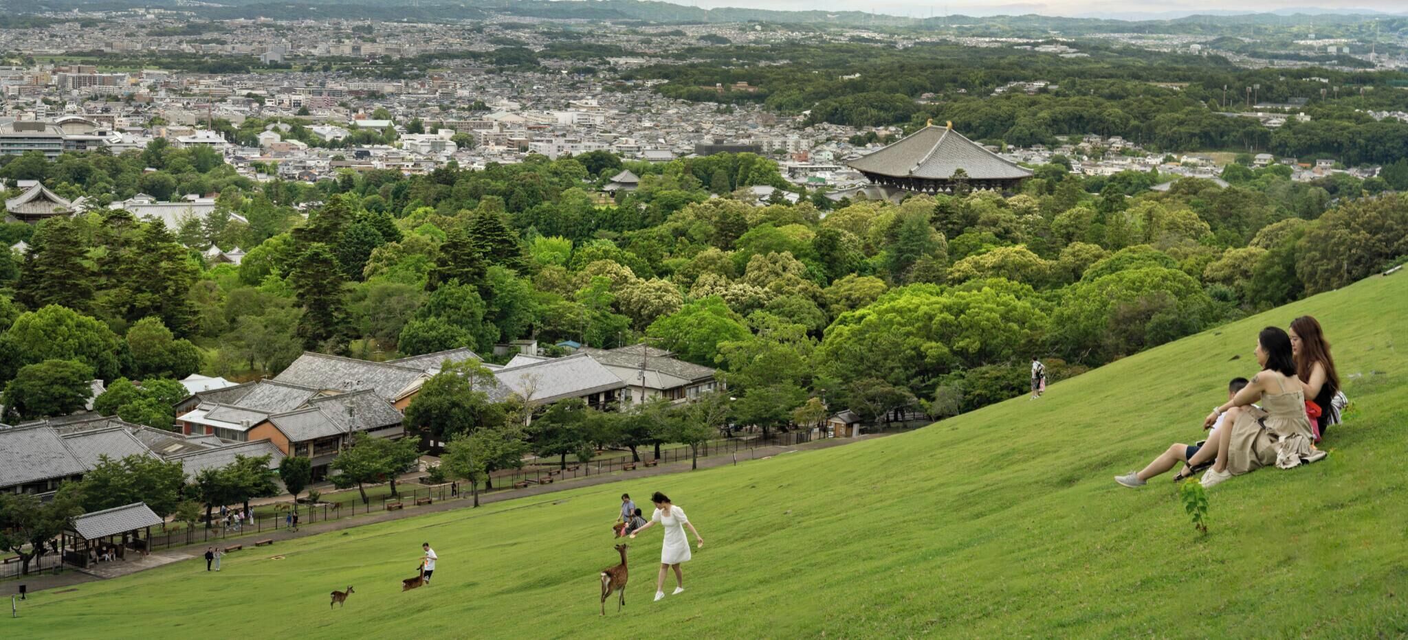 A grassy hill with traditional buildings and a cityscape in the background.
