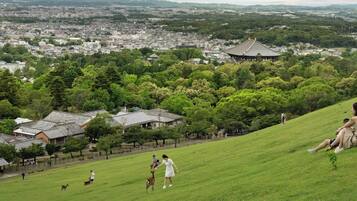 A grassy hill with traditional buildings and a cityscape in the background.