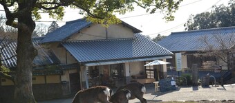 Mountain Home Lodge in Deer Park