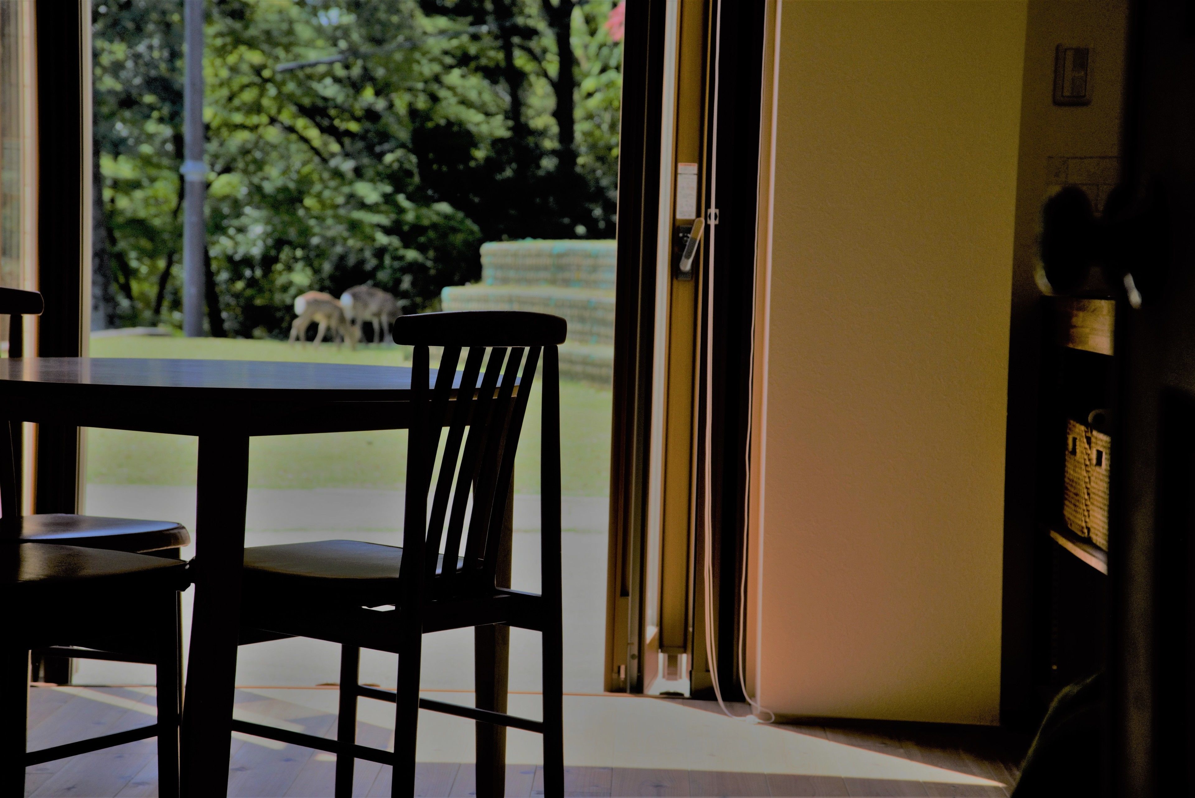 Doppelzimmer, Küche (with Loft Bed)