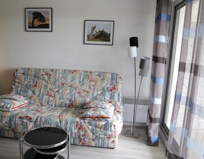 TV, DVD player, books