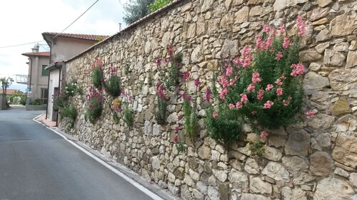 Casa di Giulia - Santa Luce