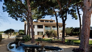A house with a swimming pool surrounded by trees and a garden. - Casa Rural Canelobre (Busot)