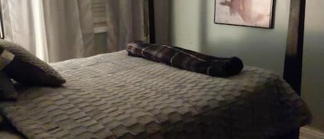 1 habitación, escritorio, tabla de planchar con plancha y wifi gratis