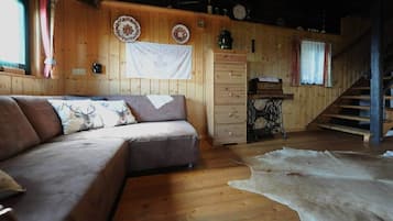 Smart TV, chimenea, reproductor de DVD y libros