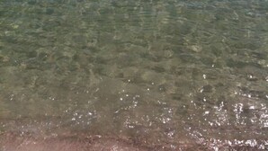 Une vue dégagée sur l’océan, avec une plage de sable.
